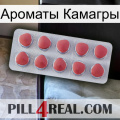 Ароматы Камагры 18